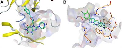 Identification of NUDT5 Inhibitors From Approved Drugs